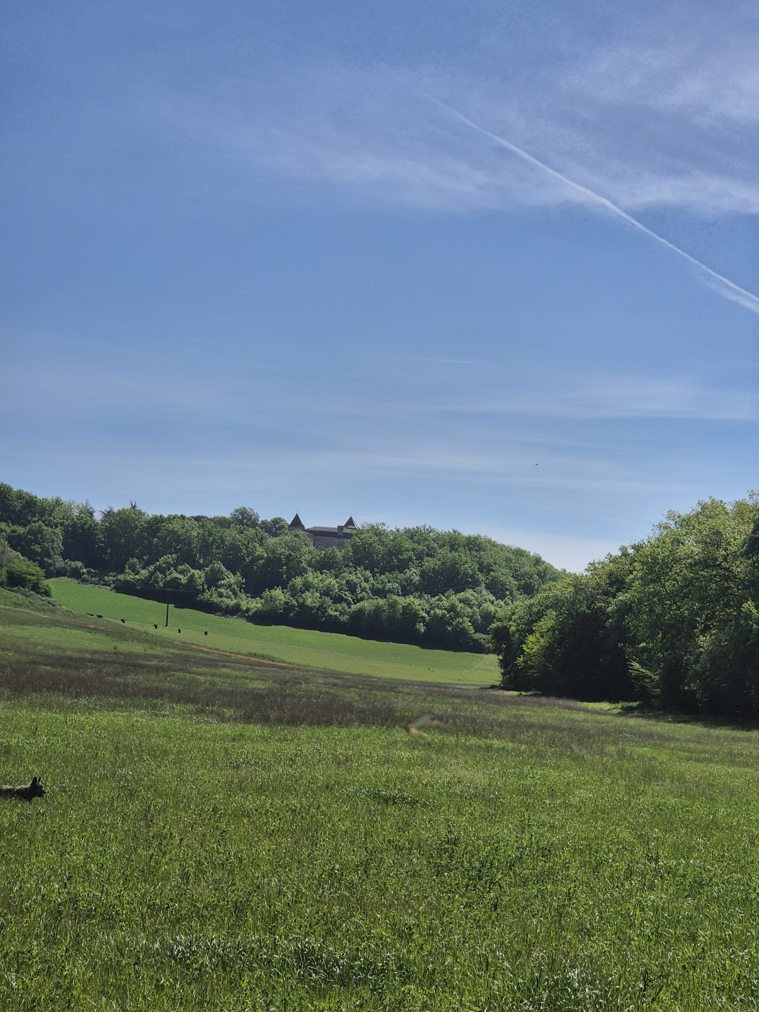 Towards the château