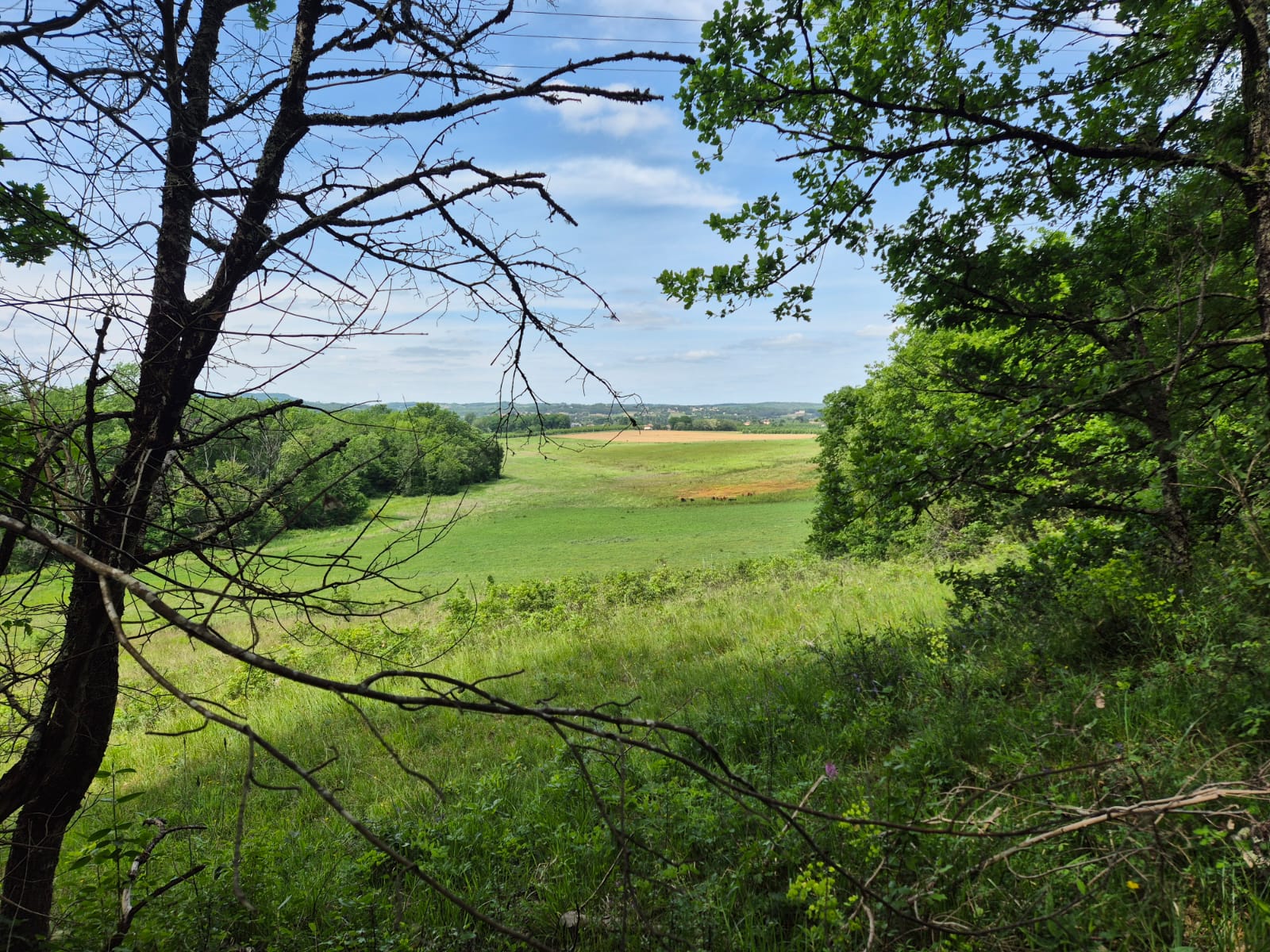 Slow Immersive Retreats
