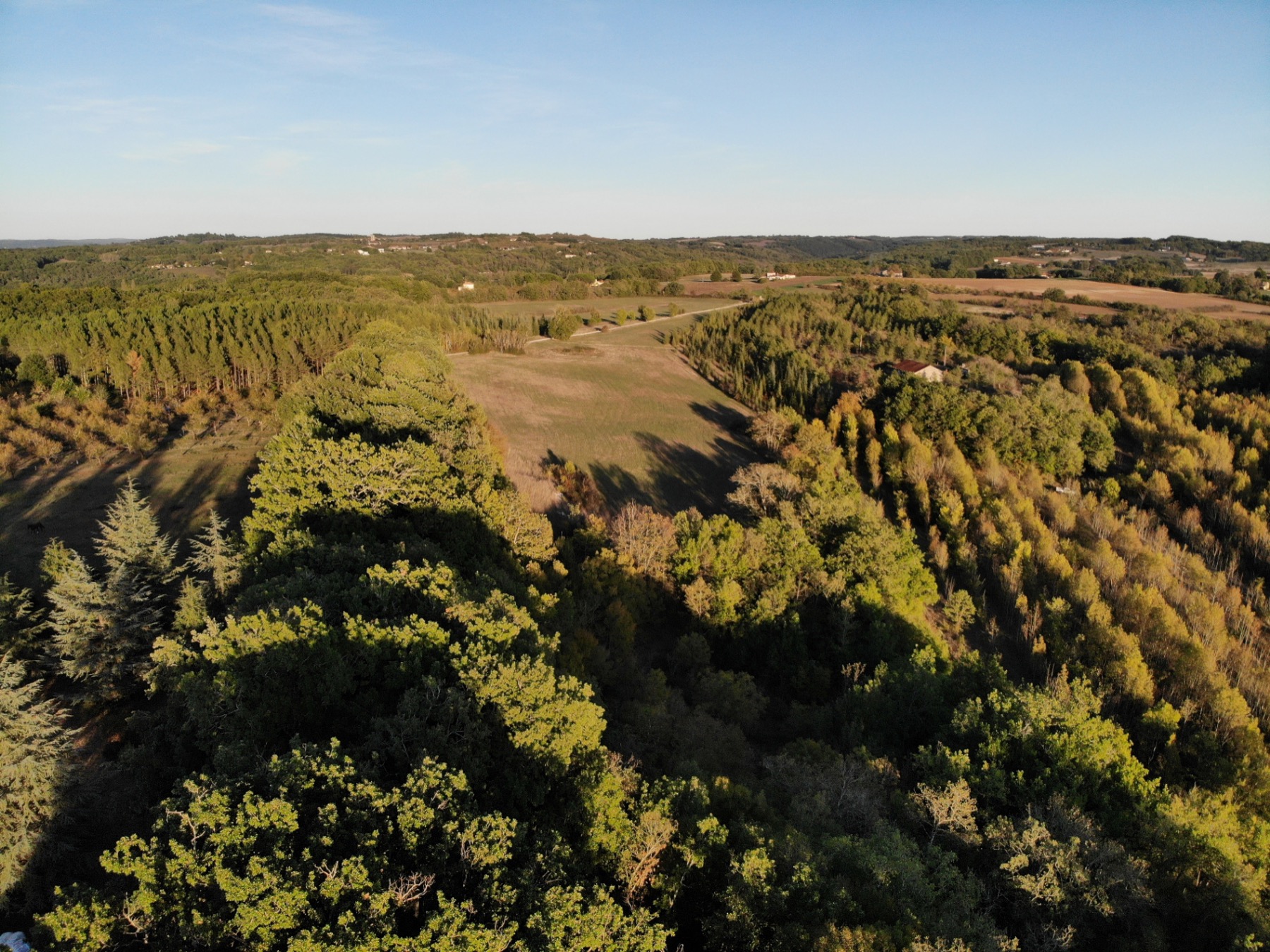 The land from above