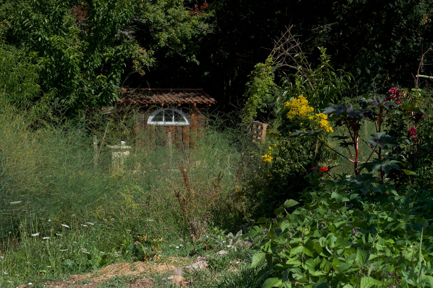 The permaculture garden and potting house