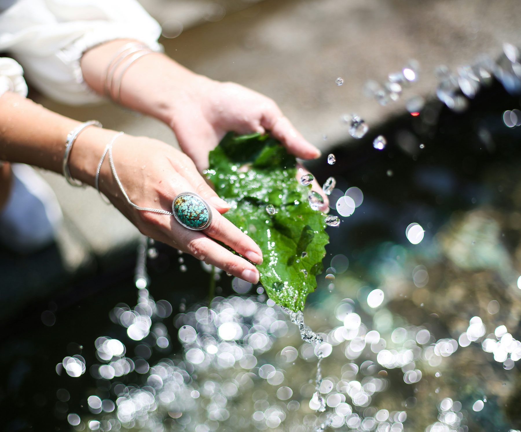 Hands rinsing leaves in water
