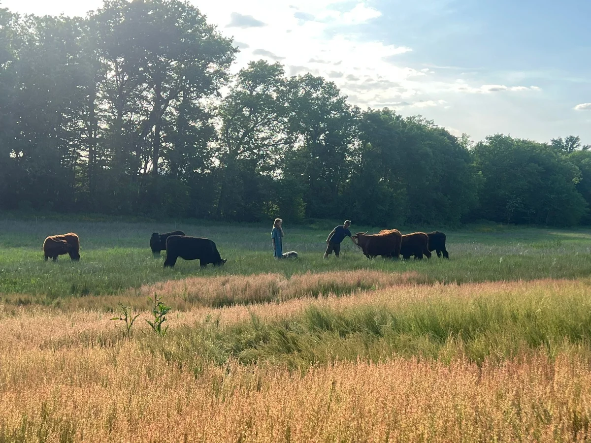 The ladies in the valley