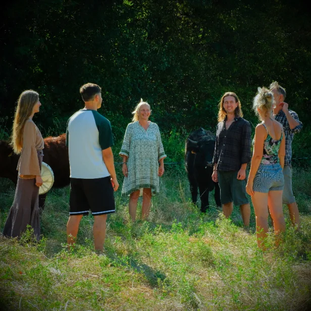Meadow gatherings